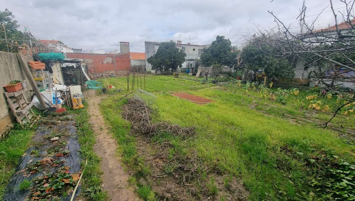 WhatsApp Image 2026-04-22 at 16.43.42