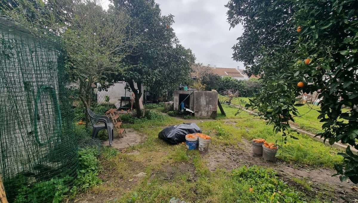 WhatsApp Image 2026-04-22 at 16.43.44 (3)