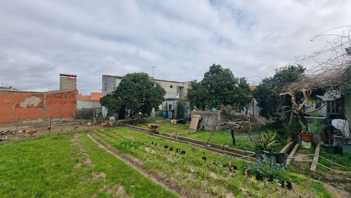 WhatsApp Image 2026-04-22 at 16.43.44 (4)