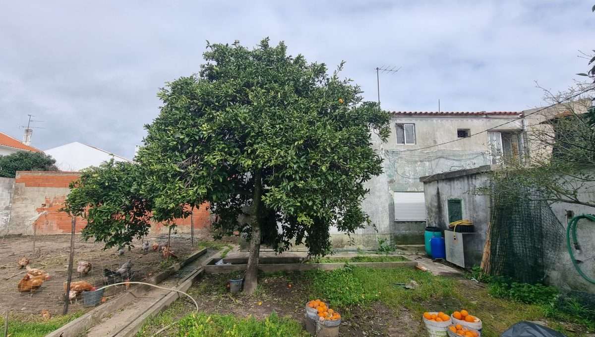 WhatsApp Image 2026-04-22 at 16.43.44 (7)